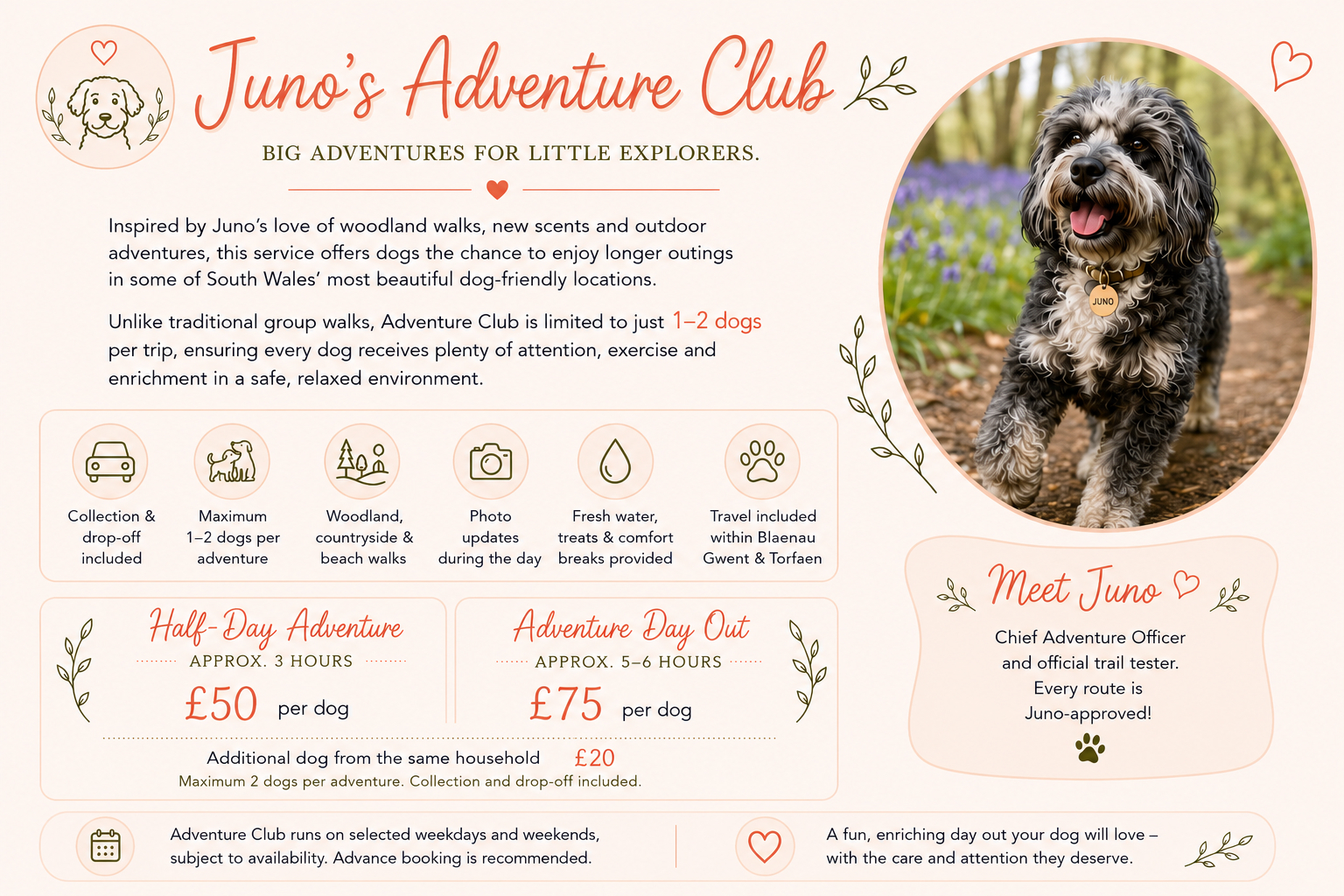 Juno's adventure