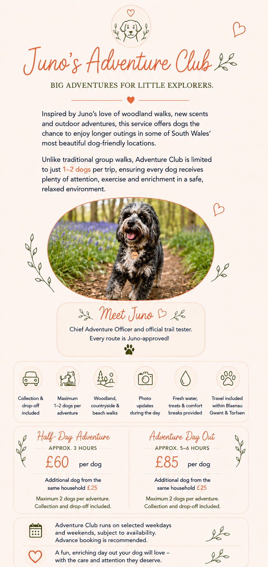 Juno's Adventure Club - big adventures for little explorers. Longer woodland, countryside and beach walks for just 1 to 2 dogs per trip, with collection and drop-off, photo updates, fresh water, treats and comfort breaks, and travel included within Blaenau Gwent and Torfaen. Half-Day Adventure (approx. 3 hours) is £60 per dog and an Adventure Day Out (approx. 5 to 6 hours) is £85 per dog; additional dog from the same household £25. Meet Juno, Chief Adventure Officer and official trail tester - every route is Juno-approved.